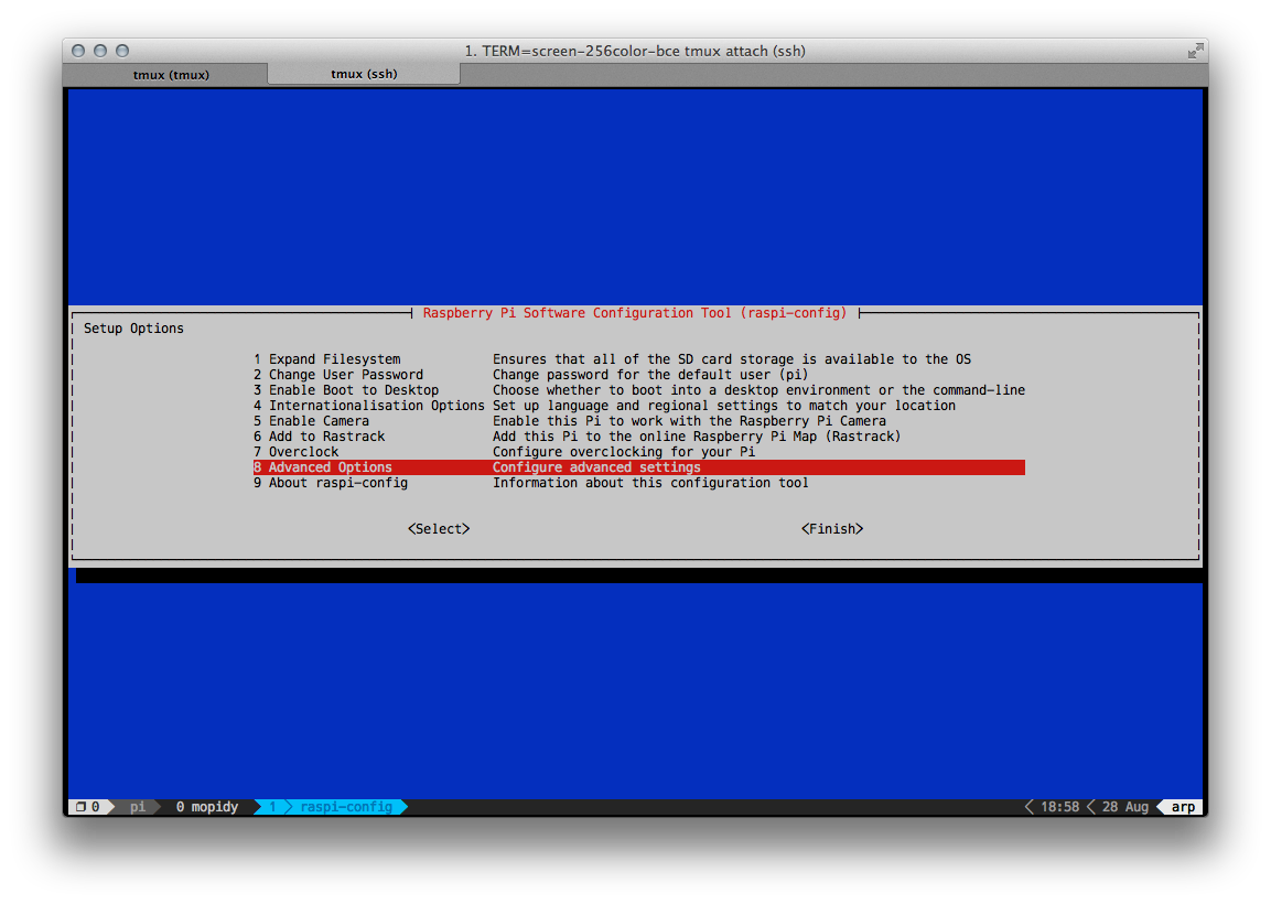 Raspberry Pi config file